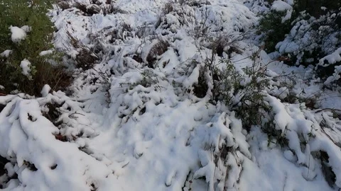 Walking in snow Video stock 151295232