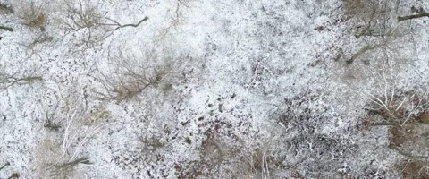 Walking in snow Stock Footage 155551444