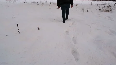 Walking in snow Stock Footage 170675224