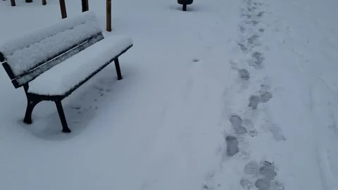 Walking in the snow Stock Footage 259836209