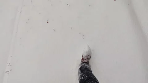 Walking on snow Stock Footage 300411689