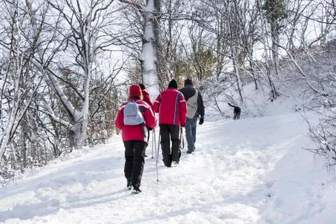 Walking on the snow forest Stock Photos