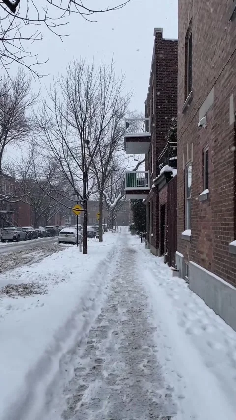 Walking in snow in Montreal Vídeo Stock 323115176