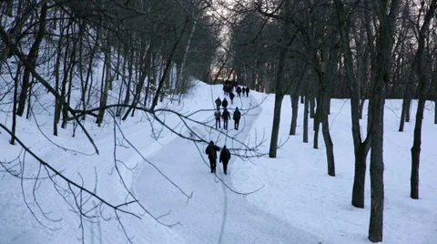 Walking in the snow park Vidéo 37155848