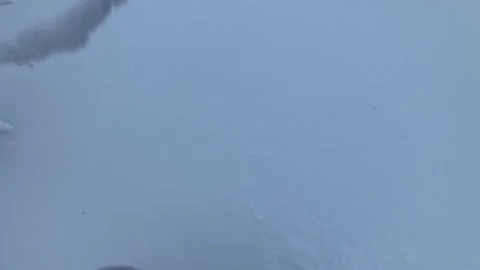 Walking on the snow in the park Stock Footage 168278128