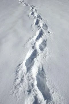 Walking in the snow Stock Photos