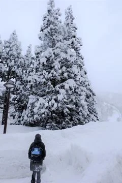 Walking on the snow Stock Photos