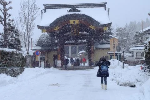Walking on the snow Stock Photos