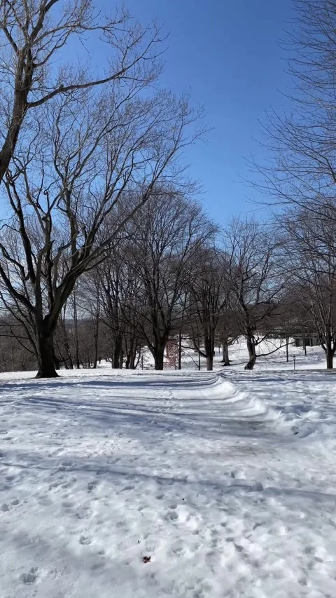 Walking in snow in Quebec City Vídeo Stock 323116782