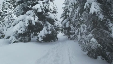 Walking in snow slow motion Stock Footage 168314216