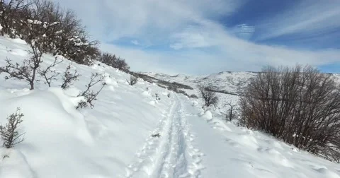 Walking on a snow trail Stock-Footage 62348171