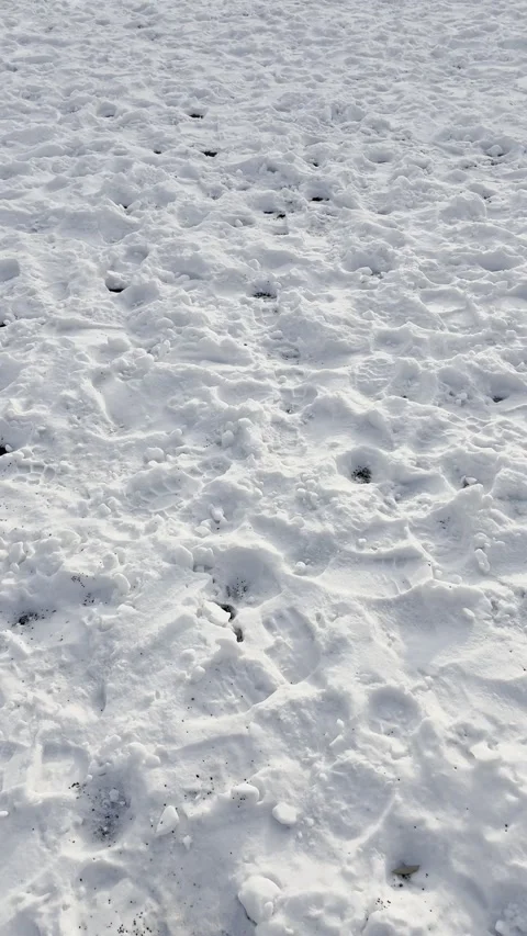 Walking in snow in winter Stock Footage 325787153