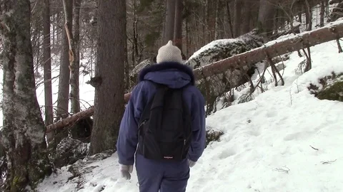 Walking by snowshoes inside wild winter forest Stock Footage 112042958
