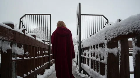 Walking on a Snowy Bridge Stock Footage 60818080