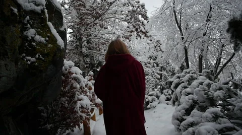 Walking in a Snowy Canyon Stock Footage 60818953