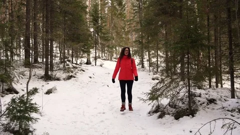 Walking in the snowy forest Stock Footage 71651275