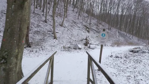 Walking in a snowy forest. Stock Footage 147618180