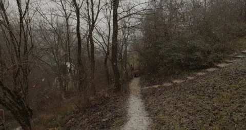 Walking in the snowy forest Stock Footage 255196130