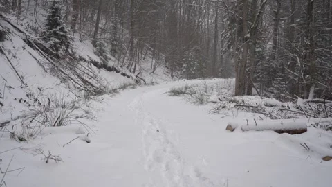 Walking on a snowy path in a forest during winter Stock Footage 327590998