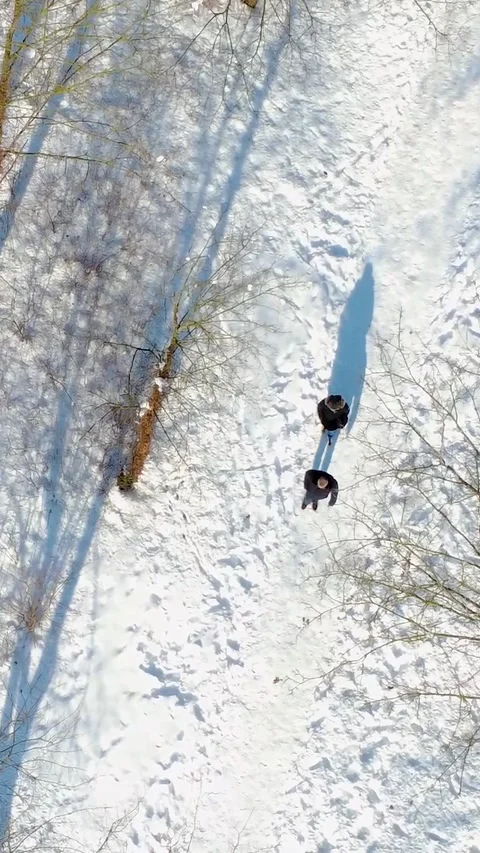 Walking on a Snowy Path Under Trees in Winter With Long Shadows and Bright Stock Footage 327908936