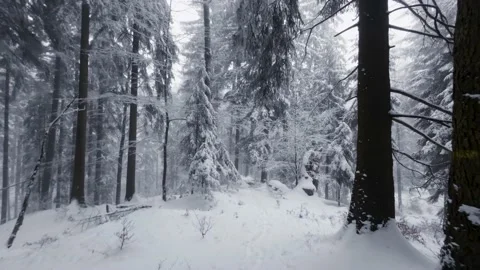 Walking at snowy winter forest surrounded by trees covered by snow Video stock 235090340