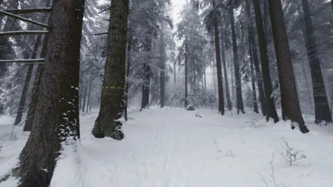 Walking at snowy winter forest surrounded by trees covered by snow Video stock 235090831