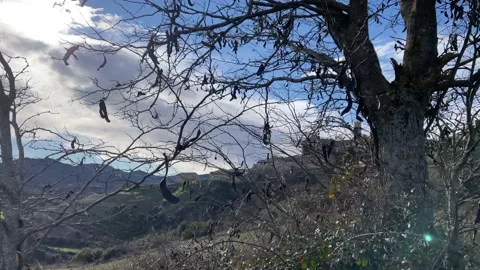 Walking up to Sos del Rey Católico Stock Footage 157743560