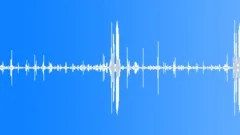 Walking Sound Effect Nature Night Sound Effect