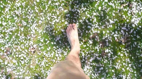 Walking in Spring Flowers Stock Footage 22330039