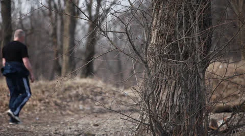 Walking in the spring forest Stock Footage 22898737