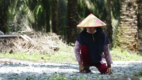 Walking squatting Stock Footage 287305734