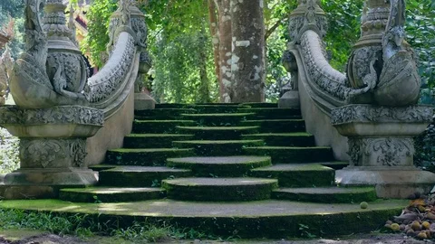 Walking up staircase Video stock 79513406