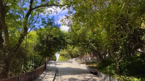 Walking steadicam moving along paved park alley in Istanbul Stock Footage 342749630