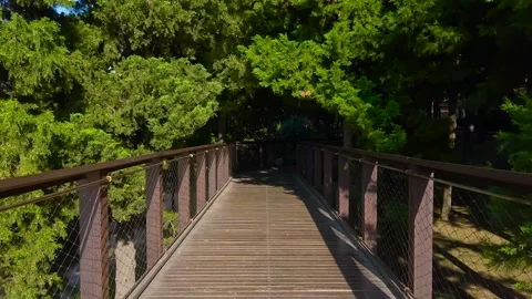 Walking steadicam moving from sunlight into shade on park bridge in Istanbul Stock Footage 346485747