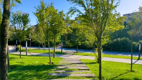 Walking steadicam moving through landscaped park in Istanbul - wide angle Stock Footage 346486045