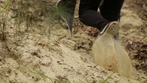 Walking up a steep sand dune in Australia Stock Footage 71354887