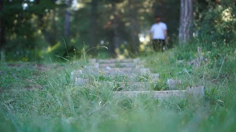 Walking on steps front in forest Stock Footage 92849727