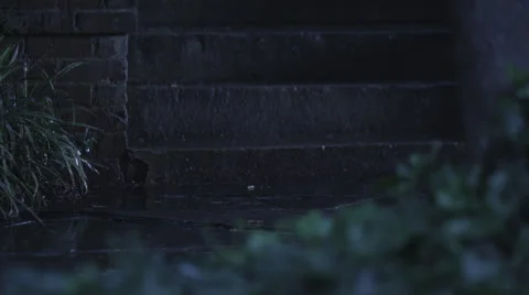 Walking Up Steps in Rain (Low Angle) Stock Footage 65211127