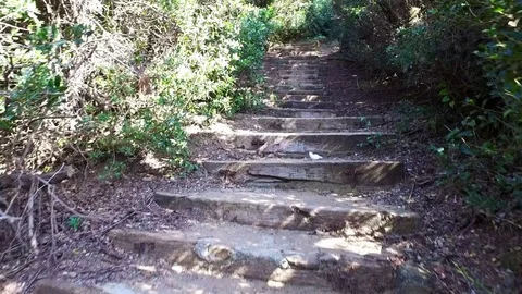 Walking on steps on a sunny day Video stock 75473727