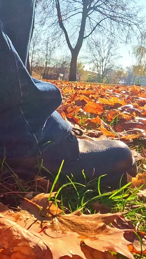 Walking steps through autumn leaves in sunny park scene Stock Footage 321916603
