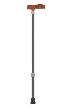 Walking Stick, 3D rendering Illustration