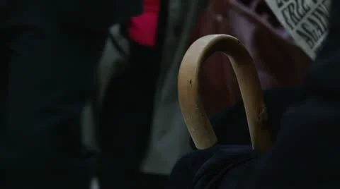 Walking stick - HD Stock Footage 21936695