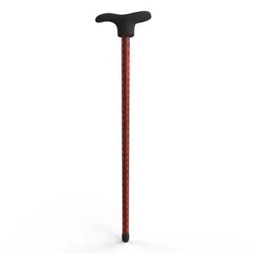 Walking Stick Illustration
