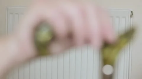 Walking stick rack focus Stock Footage 12661806