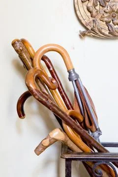 Walking sticks Foto stock