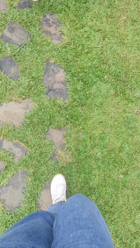 Walking on Stone Path in Green Lawn Stock Footage 331420500