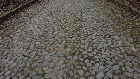 Walking on a stone path in a park during a cloudy afternoon in late autumn Stock Footage 337125303