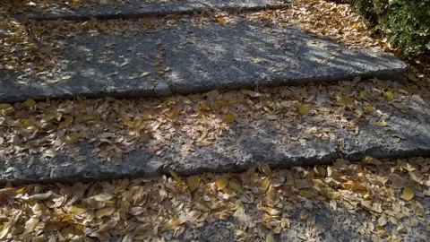 Walking on stone steps covered with fallen leaves in autumn, gimbal shot Stock Footage 220607204