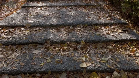 Walking on stone steps covered with fallen leaves in autumn, gimbal shot Video stock 220812500