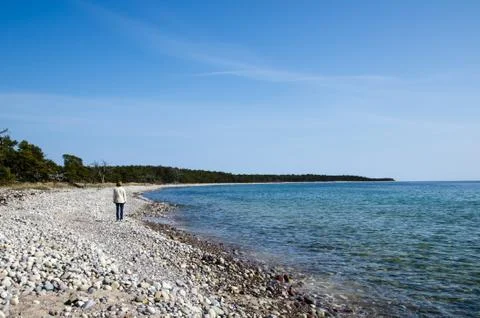 Walking at a stony coastline Stock Photos